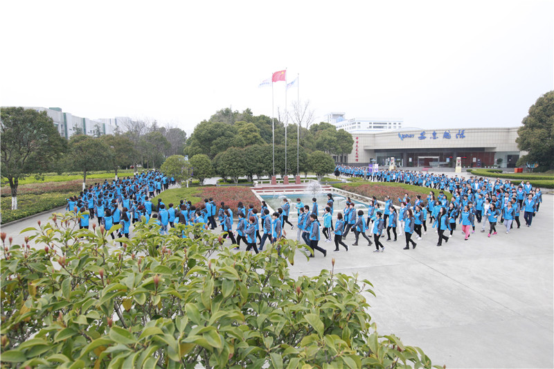 專題報(bào)道