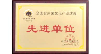 專(zhuān)題報(bào)道